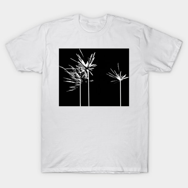 palm tree in the darkness T-Shirt by baksuart